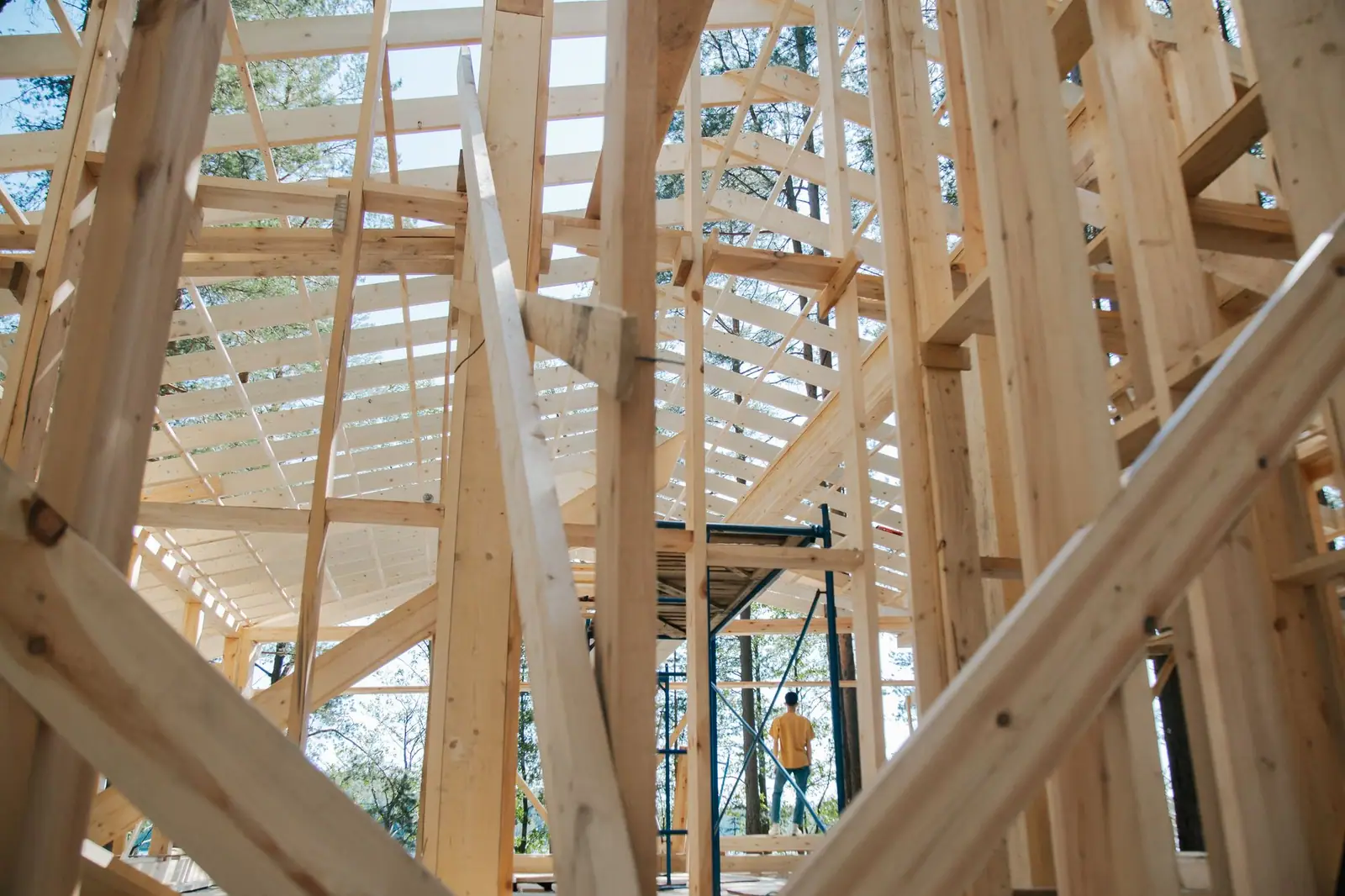 Looking up through the new wood stud and rafter framing of a house