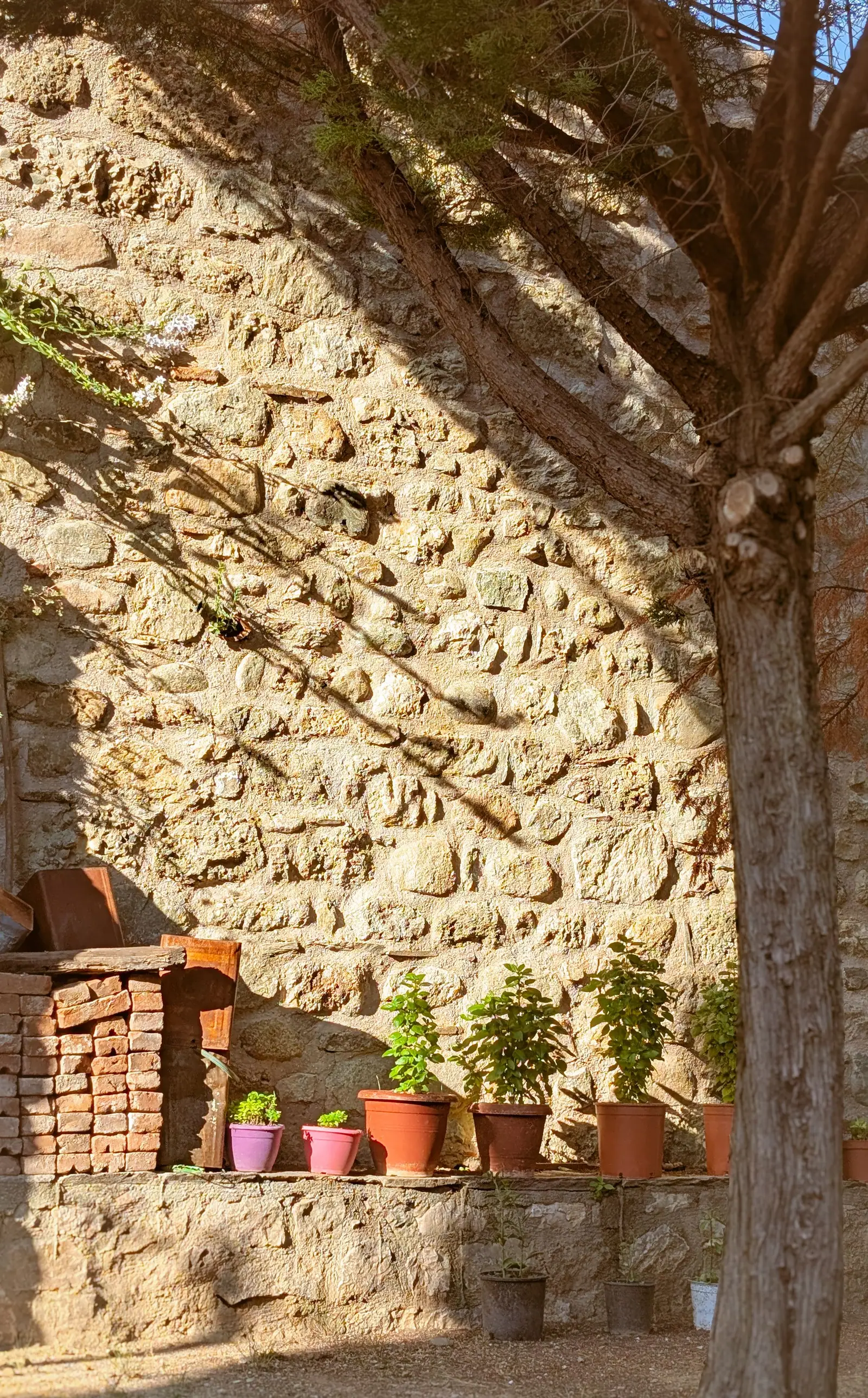 Dry-stacked fieldstone garden wall with potted plants at its base